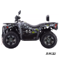 Квадроцикл Dazzle EXR 300
